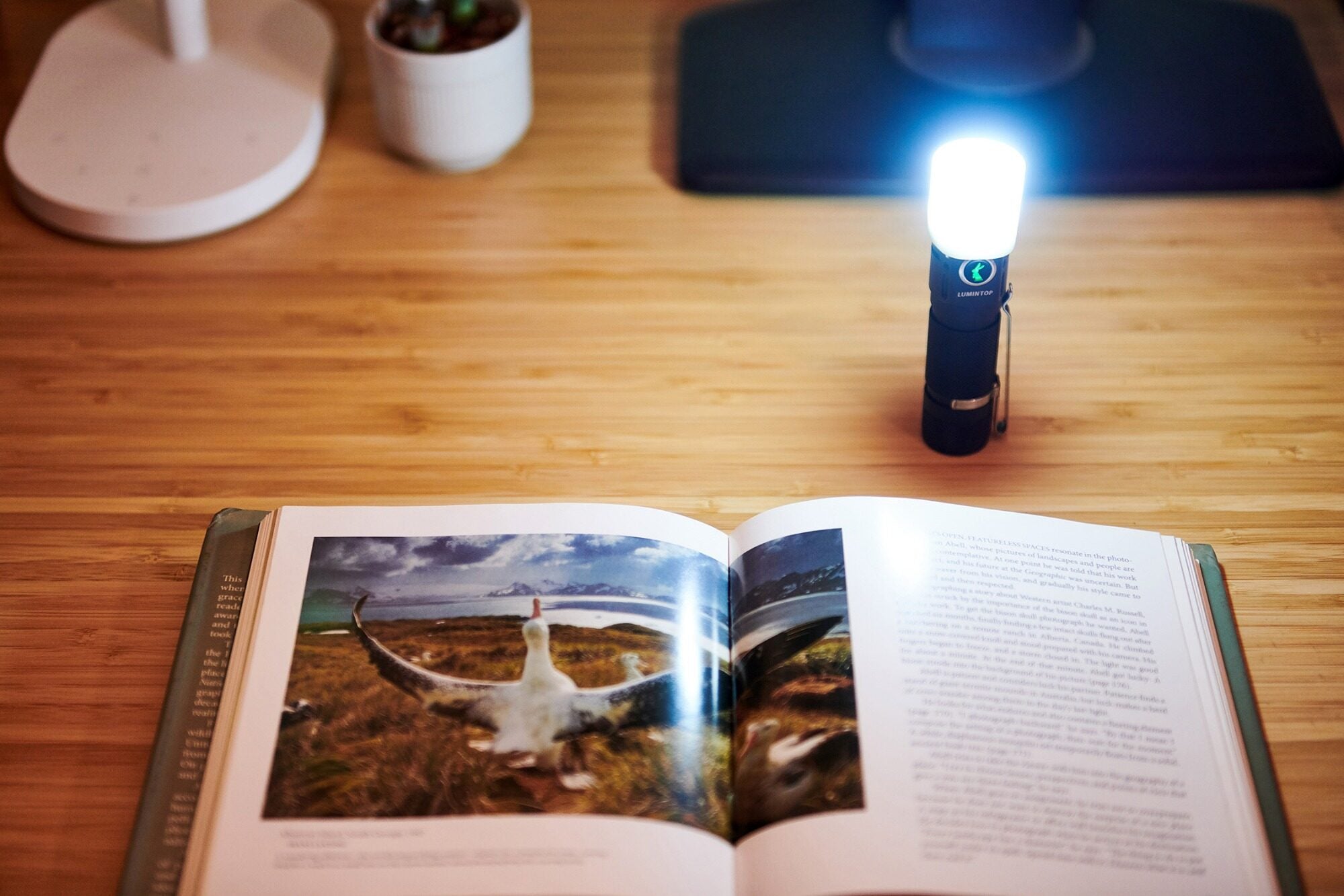 Glow Diffuser for EDC Flashlight - Lumintop Official Online Store Black Friday Sale